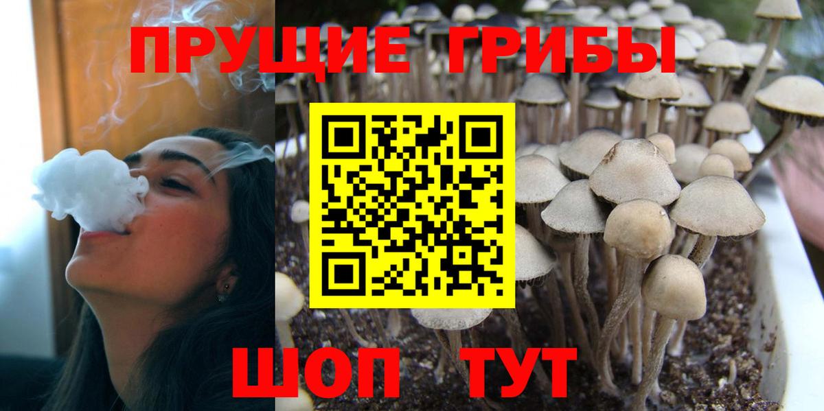 Псилоцибиновые грибы Magic Shrooms Камень-на-Оби