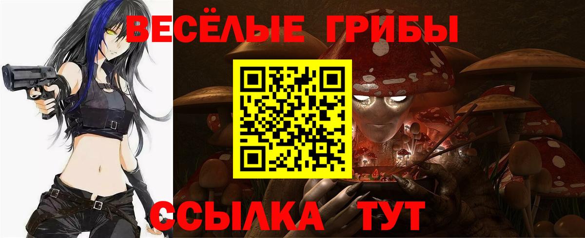 Галлюциногенные грибы ЛСД  Вход с VPN  Камень-на-Оби  Псилоцибиновые грибы прущие грибы 